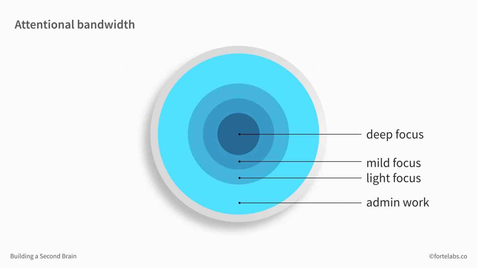 JustInTime Project Management Archives Forte Labs